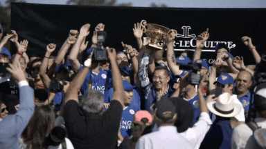 Sport of Kings small video